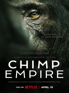 voir serie Chimp Empire en streaming