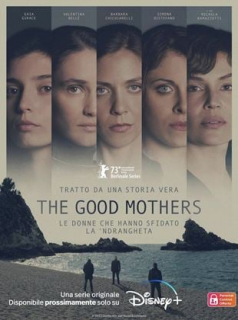 voir serie The Good Mothers en streaming