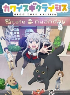 voir Too Cute Crisis Saison 1 en streaming 