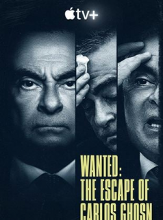 voir serie À la recherche de Carlos Ghosn en streaming