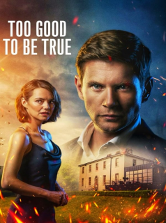 voir Too Good to Be True saison 1 épisode 1