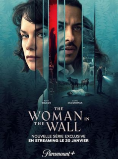 voir serie The Woman In The Wall en streaming