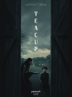 voir Teacup Saison 1 en streaming 