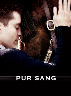 Pur Sang, la légende de Seabiscuit streaming