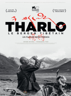 Tharlo, le berger tibétain