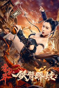 The Queen of KungFu 2 streaming