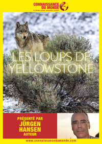 Connaissance du monde : Les Loups de Yellowstone