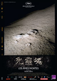 Les Âmes mortes - Partie 1 streaming