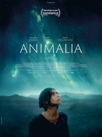 Animalia streaming