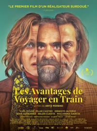 Les Avantages de voyager en train streaming