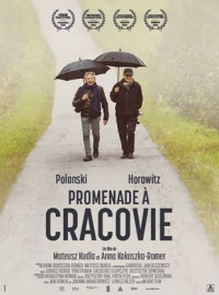 Promenade à Cracovie streaming