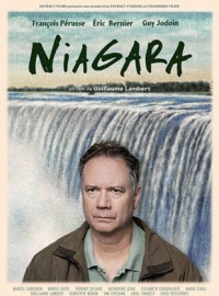 Niagara streaming