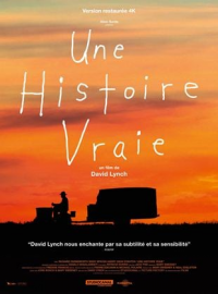 Une histoire vraie streaming