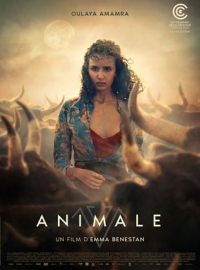 Animale streaming