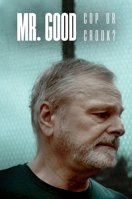 Mr. Good : Flic ou baron ?